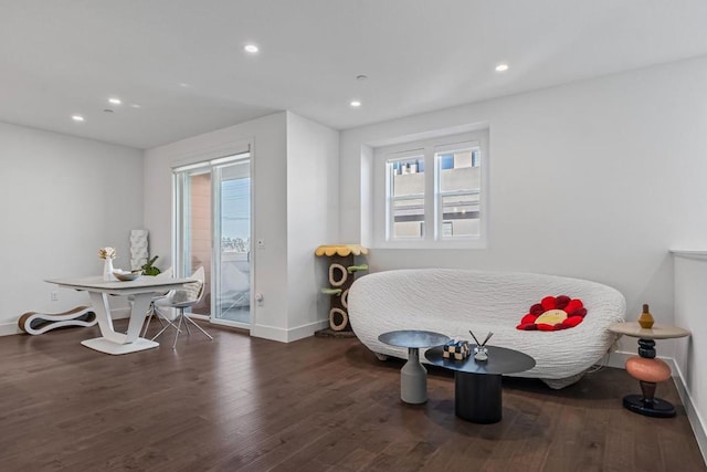 dining space featuring dark wood-type flooring