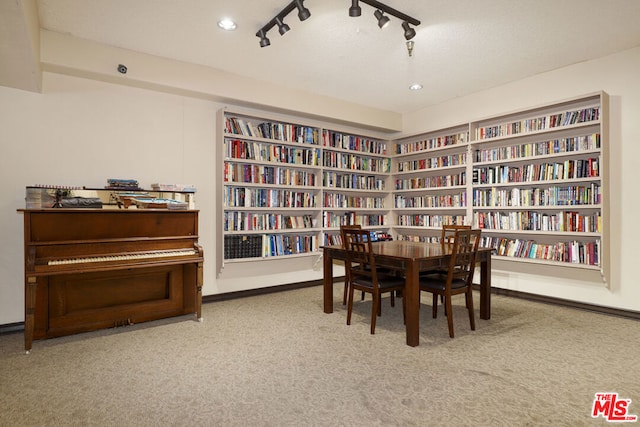 sitting room featuring track lighting and carpet