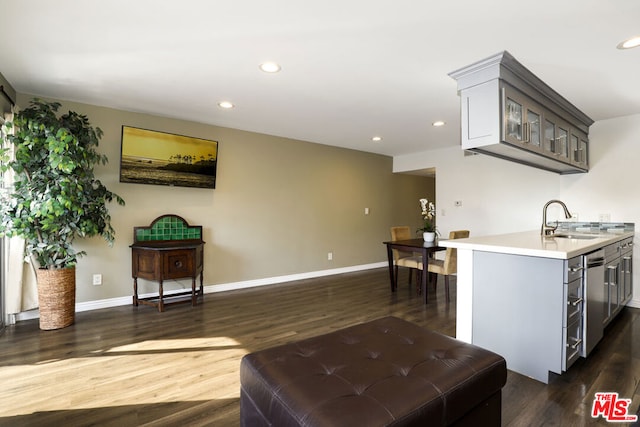 living room with sink and dark wood-type flooring