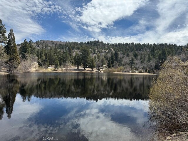 2440 Spruce Dr, Arrowbear, CA 92382 - water view with a heavily wooded area
