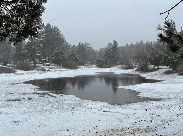 2440 Spruce Dr, Arrowbear, CA 92382 - water view with a heavily wooded area