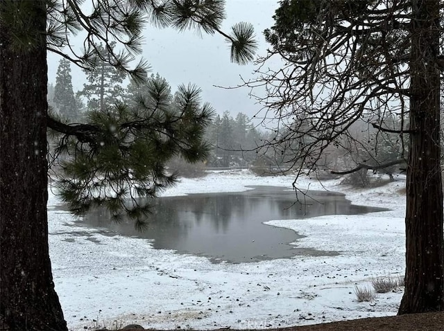 2440 Spruce Dr, Arrowbear, CA 92382 - water view