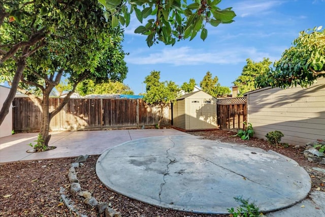 view of yard featuring a patio area and a storage shed