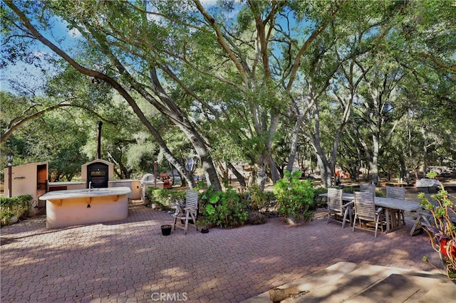 view of patio featuring area for grilling