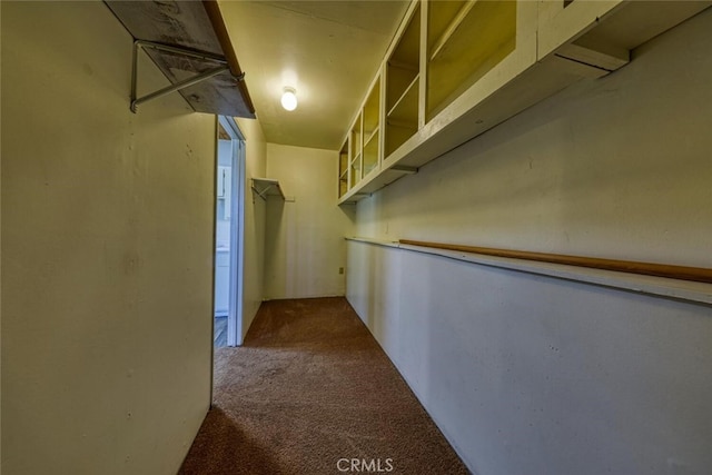 walk in closet with carpet flooring