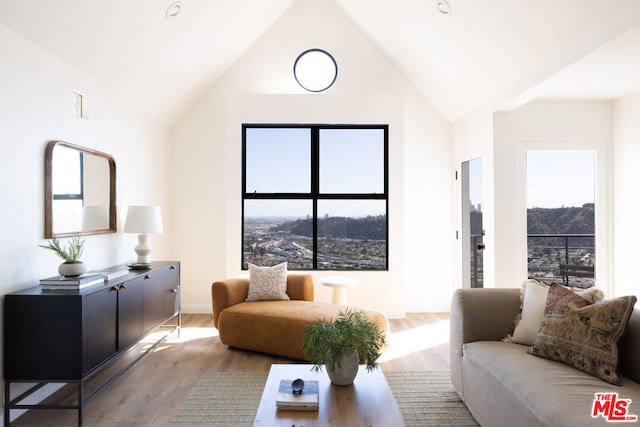 living room featuring plenty of natural light, light hardwood / wood-style floors, and vaulted ceiling