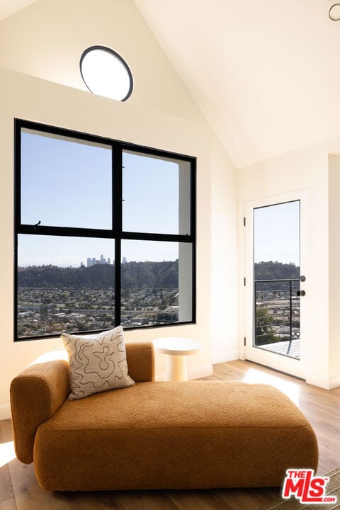 sitting room featuring plenty of natural light, high vaulted ceiling, and light wood-type flooring