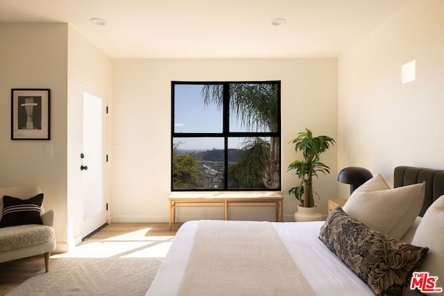 bedroom featuring light hardwood / wood-style floors