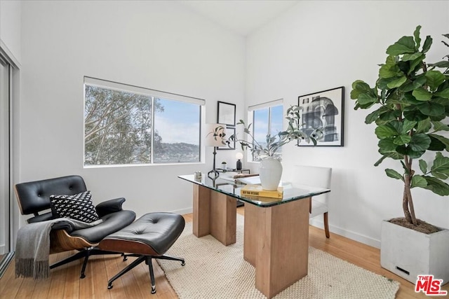 office featuring light hardwood / wood-style flooring and a high ceiling