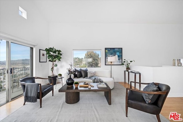 living room featuring plenty of natural light, a towering ceiling, and light hardwood / wood-style flooring