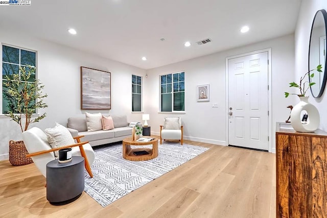 living room featuring light hardwood / wood-style floors