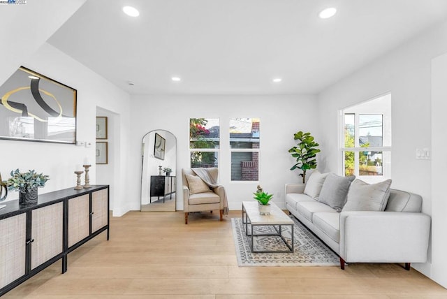 living room featuring light hardwood / wood-style floors