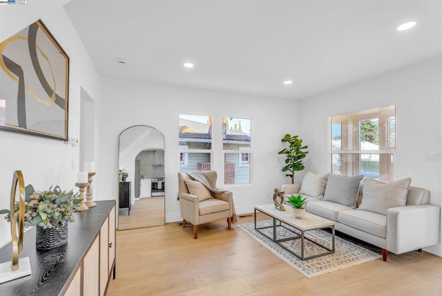 living room with light wood-type flooring