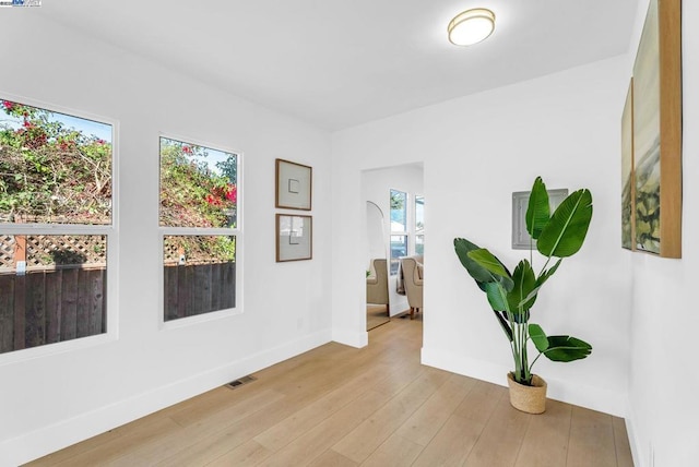 hallway with a healthy amount of sunlight and light hardwood / wood-style flooring