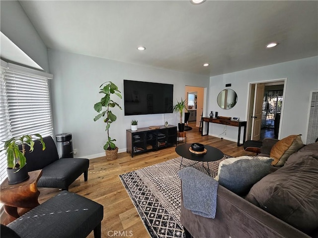 living room with wood-type flooring