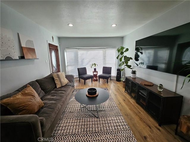 living room featuring light wood-type flooring