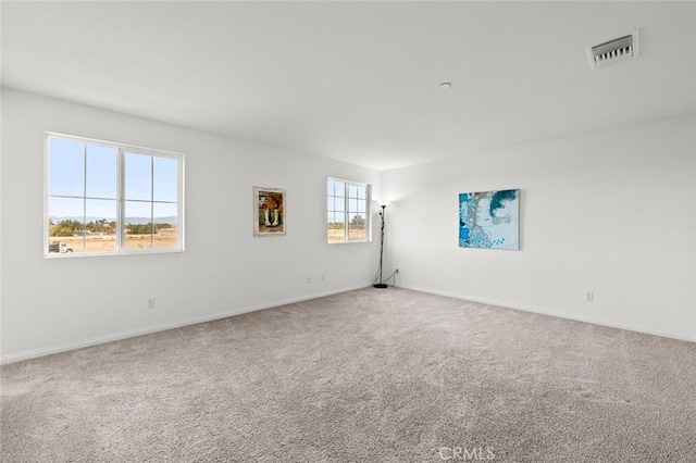 carpeted empty room with a wealth of natural light