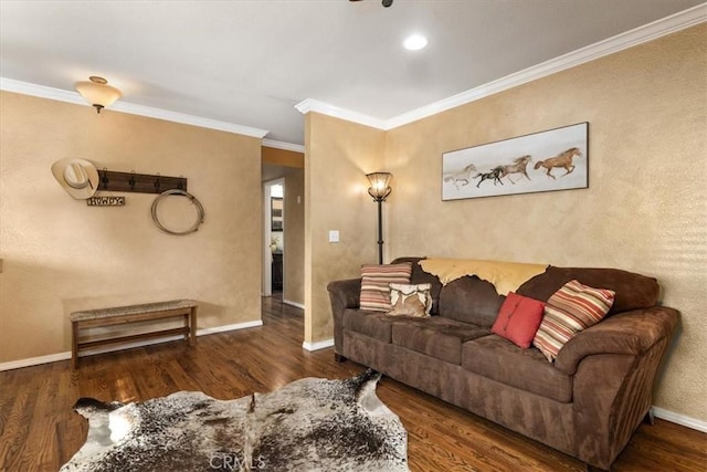 living room featuring ornamental molding and dark hardwood / wood-style flooring