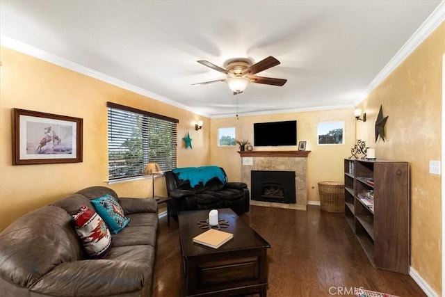 living room with a fireplace, dark wood-type flooring, ornamental molding, and ceiling fan