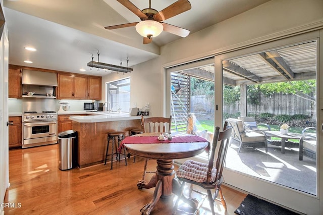 dining room with ceiling fan and light hardwood / wood-style flooring