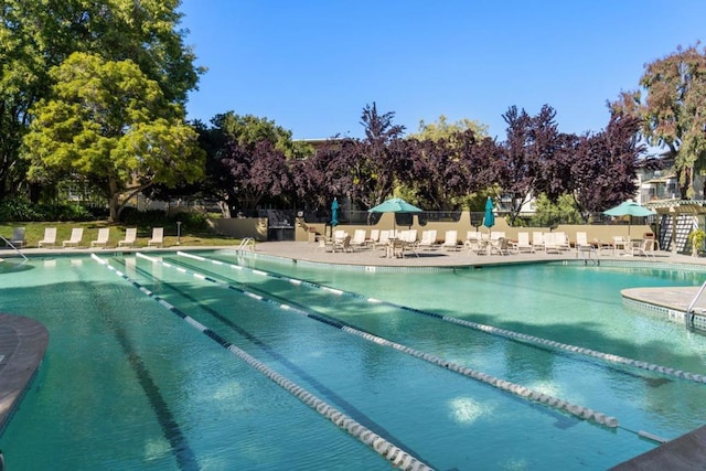 view of swimming pool with a patio area