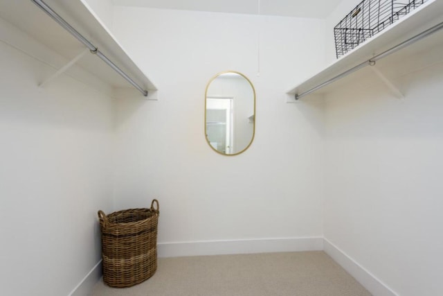 spacious closet with carpet