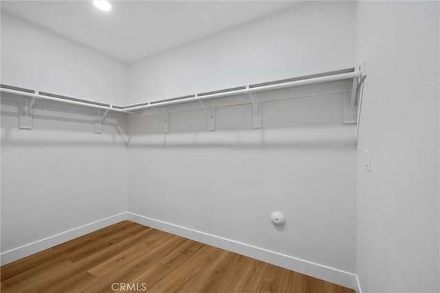 spacious closet featuring hardwood / wood-style floors