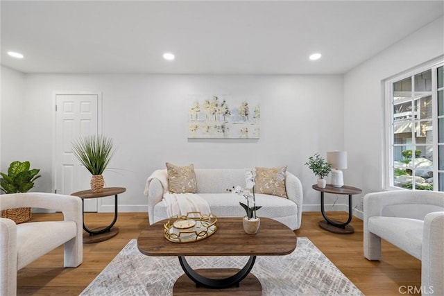 living area featuring light hardwood / wood-style flooring