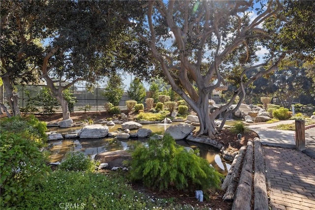 view of yard with a small pond