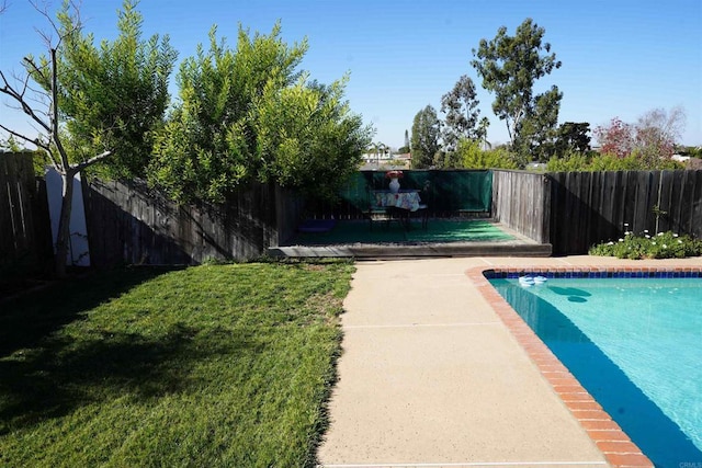 view of swimming pool with a patio area and a lawn