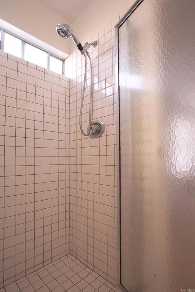 bathroom featuring a shower with shower door