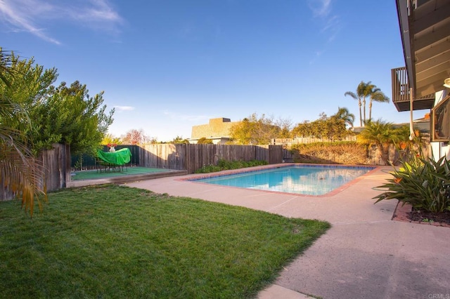 view of pool featuring a patio area and a lawn