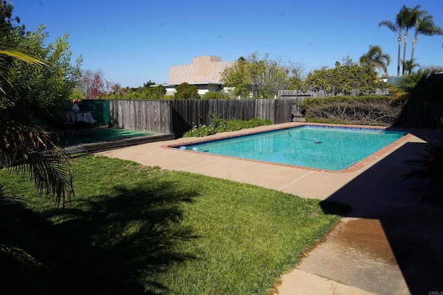 view of swimming pool with a lawn and a patio