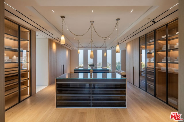 interior space featuring decorative light fixtures and hardwood / wood-style floors