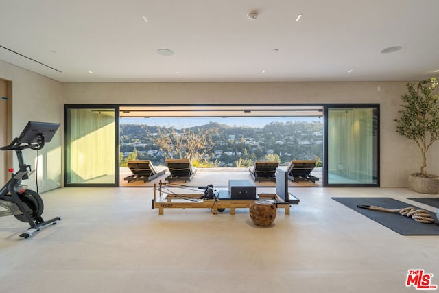 workout room featuring plenty of natural light