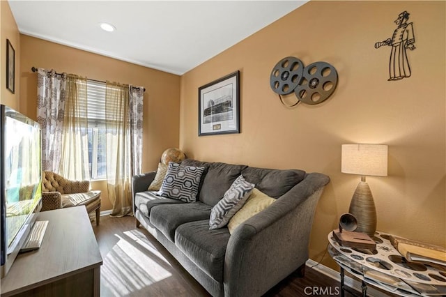 living room featuring hardwood / wood-style floors