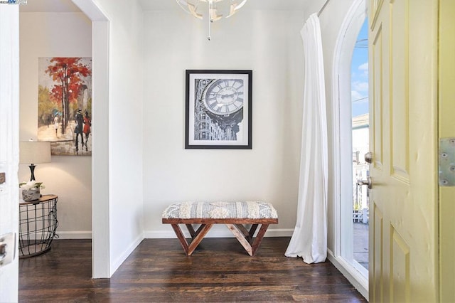 entrance foyer with plenty of natural light and dark hardwood / wood-style floors