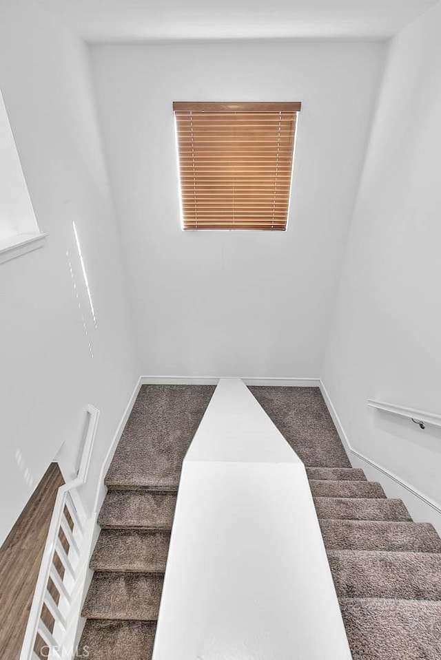 stairway with carpet floors