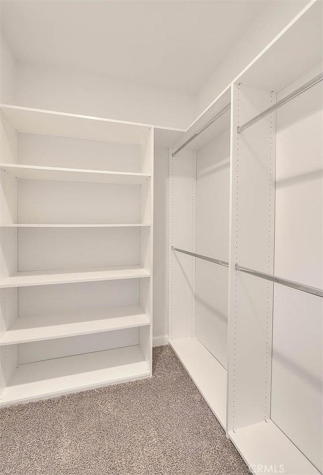 spacious closet with carpet