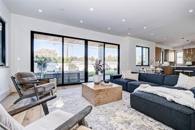 living room featuring light hardwood / wood-style floors