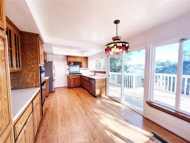 kitchen featuring pendant lighting, sink, light hardwood / wood-style flooring, appliances with stainless steel finishes, and a raised ceiling