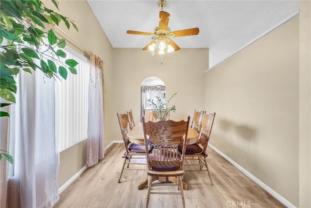 dining room featuring plenty of natural light, light hardwood / wood-style floors, and ceiling fan