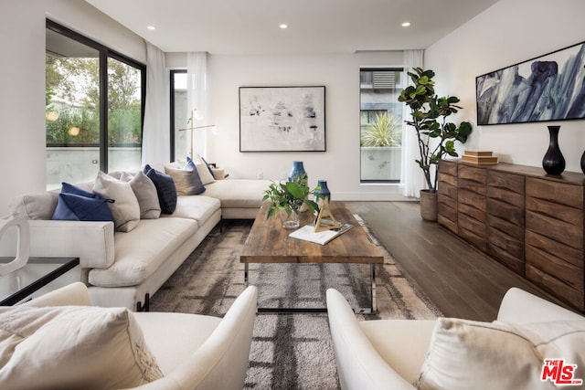 living room with dark wood-type flooring