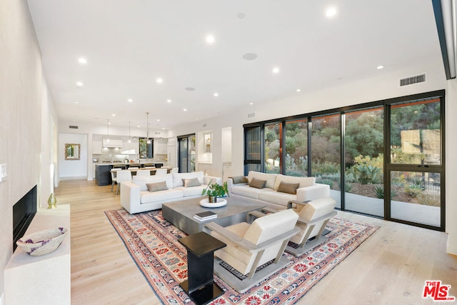 living room with light wood-type flooring