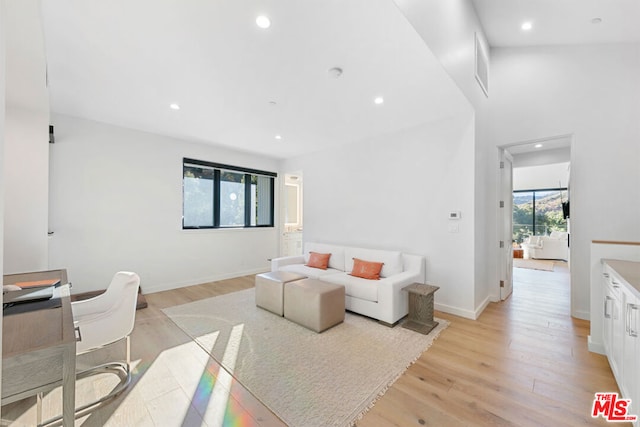 living room featuring light wood-type flooring