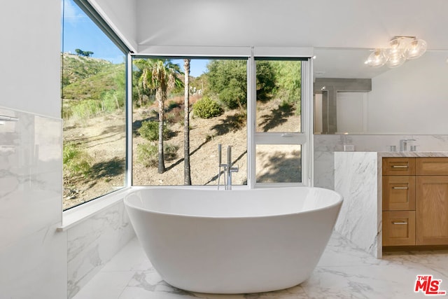 bathroom with vanity, a healthy amount of sunlight, and a tub to relax in