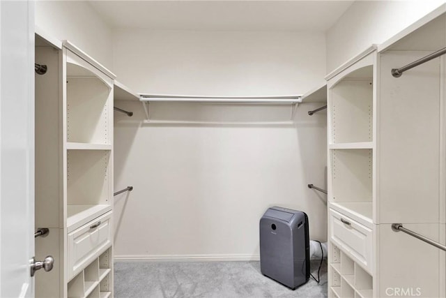 walk in closet featuring light colored carpet