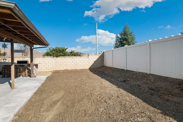 view of yard with a patio