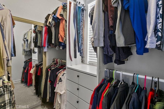 spacious closet featuring light colored carpet