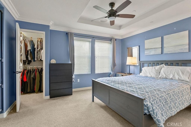 carpeted bedroom featuring a spacious closet, ceiling fan, a tray ceiling, crown molding, and a closet